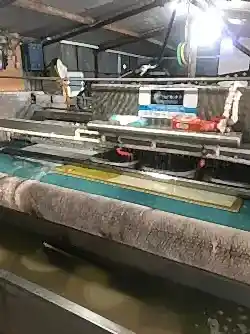 hali-yikama-2